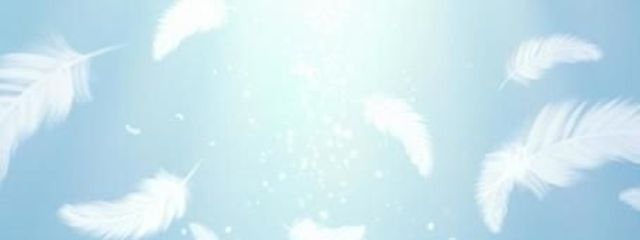 さき＠星神くくさんとアイコン・ヘッダーペア画中さんの壁紙画像