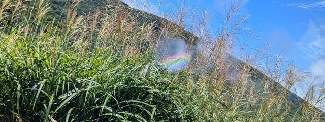 皆川　綾人さんの壁紙画像