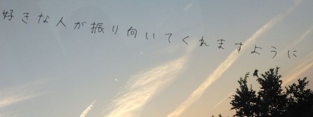 n a g i.🤍🐶さんの壁紙画像