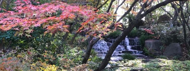 れん(*´꒳`*)さんの壁紙画像