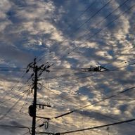 空さんのアイコン画像