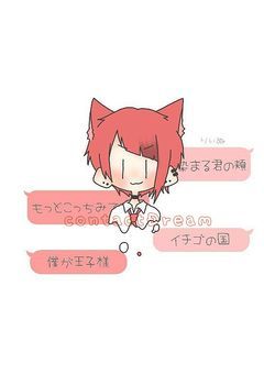 Contact Dream