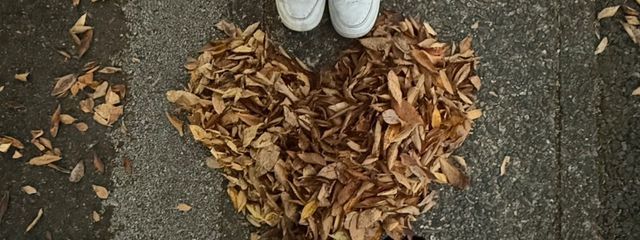 りゃんさんの壁紙画像