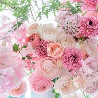 明 美さんのアイコン画像