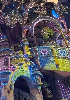 この森で出会う