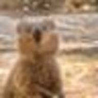 tdst🗝💸さんのアイコン画像