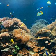 若月雪乃さんのアイコン画像