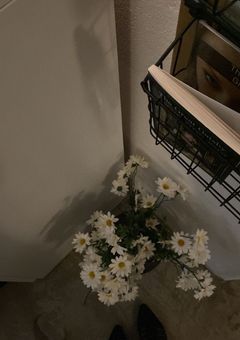 短編集