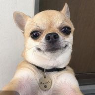 auは金 さんのアイコン画像
