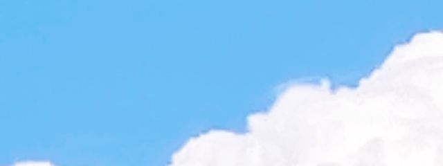HAL𓂃𓈒𓏸︎︎︎︎ 🕊さんの壁紙画像