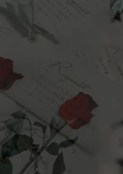 怪盗としての人生