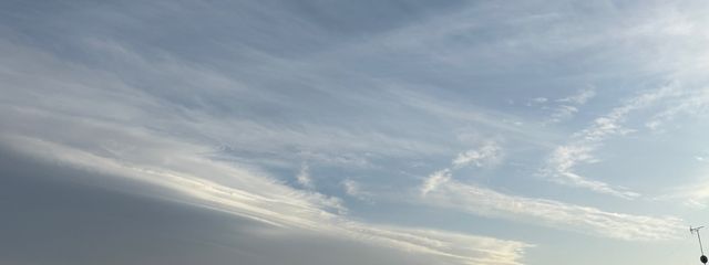 Layla👁️💙さんの壁紙画像