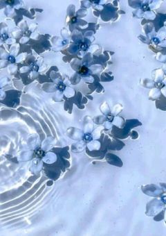 BMSGの性処理係ちゃん♡