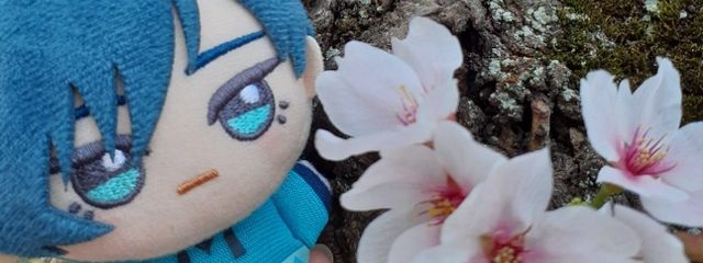 ゆ きさんの壁紙画像