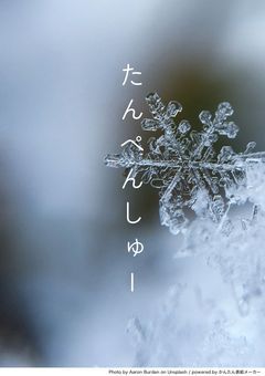 たんぺんしゅー