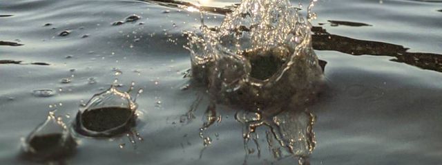 はっぱさんの壁紙画像