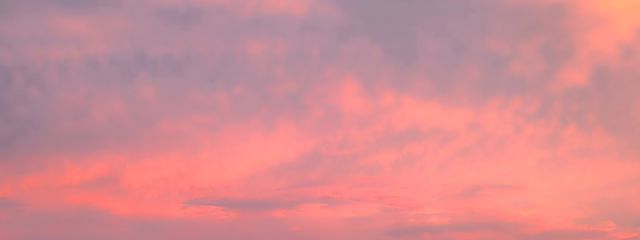 らのさんの壁紙画像