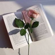 あ お い   @  低 浮 上  .さんのアイコン画像