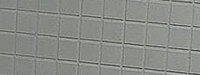 　　　　せ　な　　　さんの壁紙画像