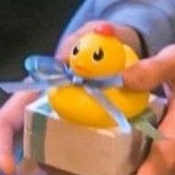 アヒル隊長🐥👑✌️さんのアイコン画像