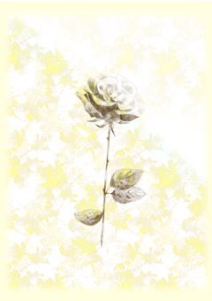 『　ね ぇ 。 』
