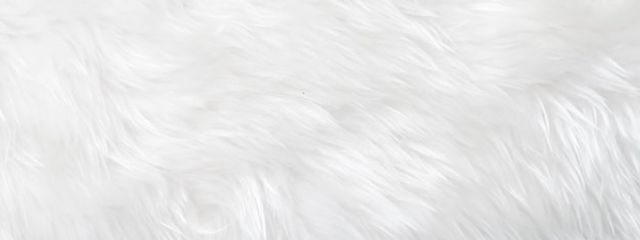 # 　　みこさんの壁紙画像