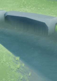 白猫