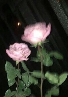 雑談🥀．
