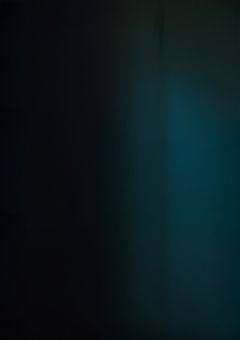 ナ ナ フ シ ギ 。　【 n j s j 】