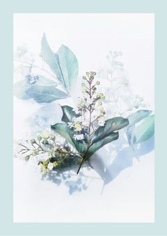 R e : 死 に 戻 り 少 女 の コ ロ シ ア イ 新 学 期 。　【 V 3 】