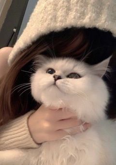 凛ちゃんの雑談部屋!