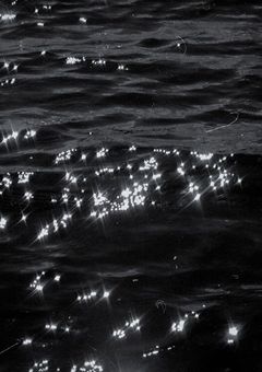 𝖜𝖔𝖓𝖉𝖊𝖗𝖑𝖆𝖓𝖉