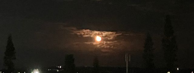 神楽 宵月  🎧⭐🥞さんの壁紙画像