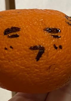 カオスな2人は偉い人☆