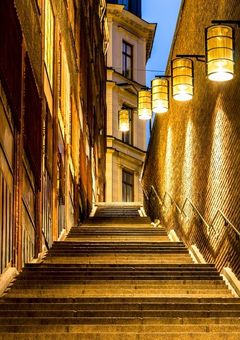 私はただの受付嬢ですが……？