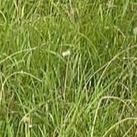 🥸🥸さんのアイコン画像