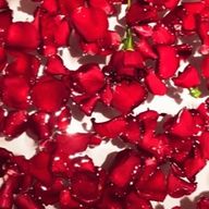 ゆり組大好きさんのアイコン画像