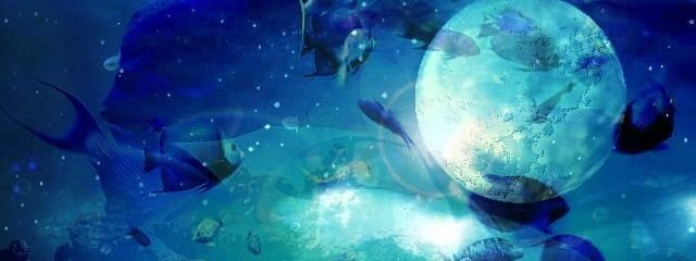 ミンミンゼミさんの壁紙画像