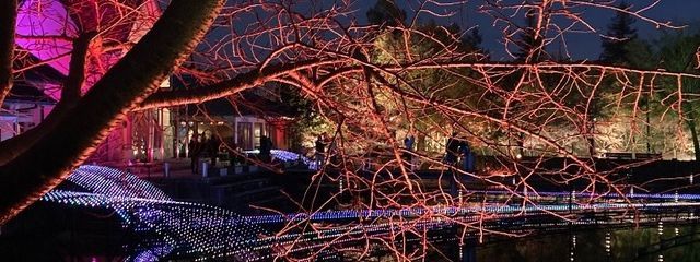 愛瑠さんの壁紙画像