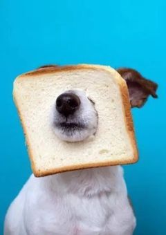 smerさんの画像で何か言う奴の部屋