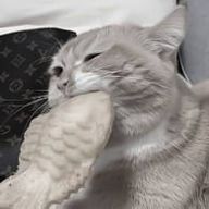 もなさんのアイコン画像