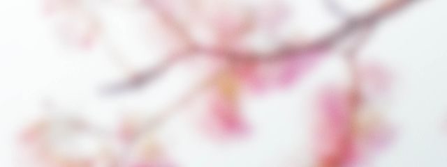 最強かぐやさんの壁紙画像