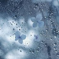 最強かぐやさんのアイコン画像