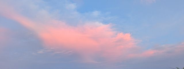 ·*🍏*· りんごちゃん ·*🍏*· さんの壁紙画像