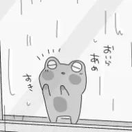 あんずさんのアイコン画像