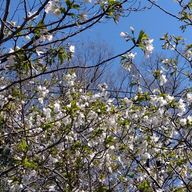 玲さんのアイコン画像