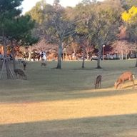 そらちゃん(｢・ω・)｢ﾀﾞｵ!~さんのアイコン画像