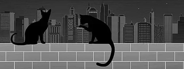 くろすけさんの壁紙画像