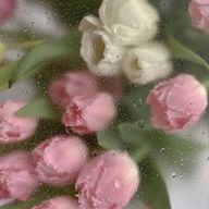 黒茶屋さんのアイコン画像