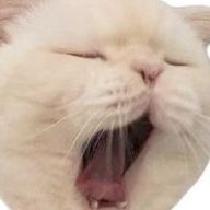 luluさんのアイコン画像